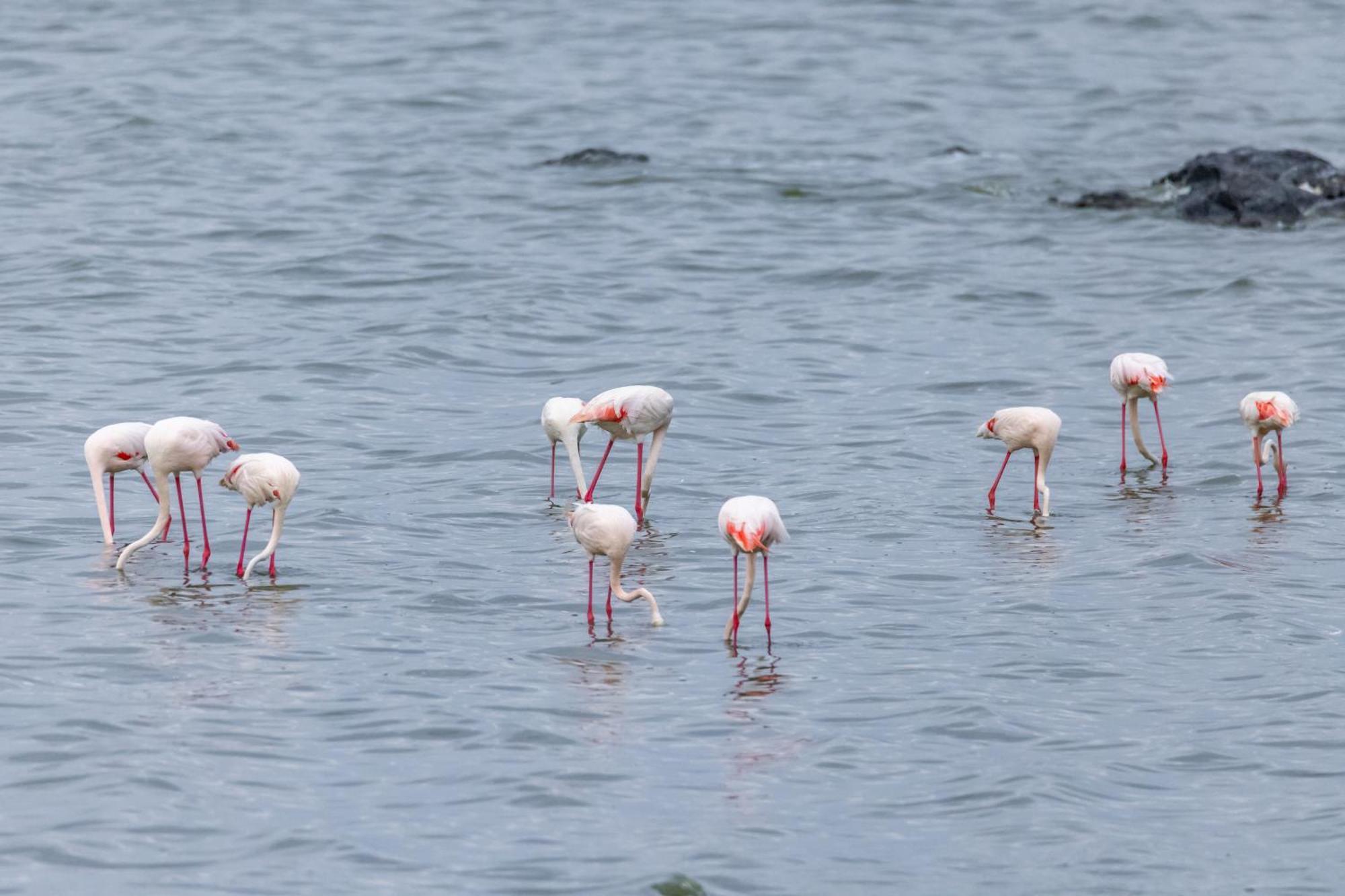 Sentrim Elementaita Lodge Elmenteita エクステリア 写真
